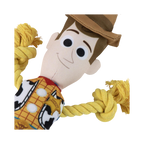 Gros plan sur le visage de Woody et son chapeau marron