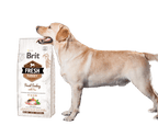 Labrador à côté du sac de croquettes Brit Fresh dinde & petits pois Fit & Slim
