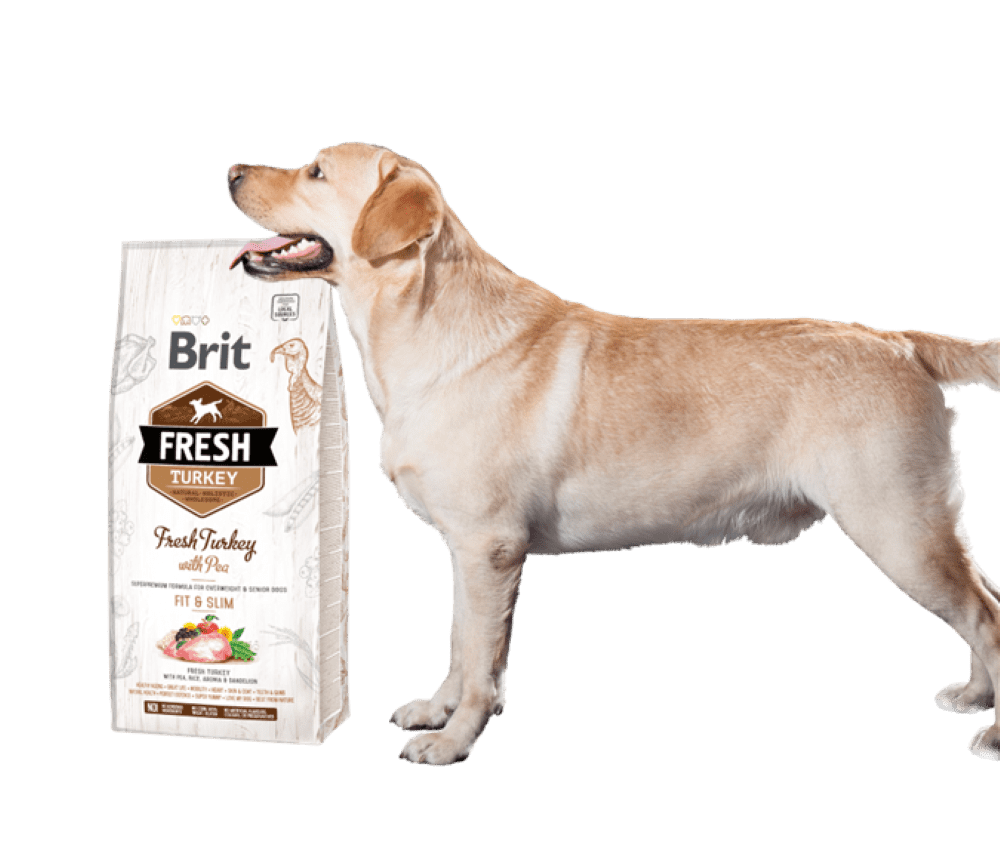 Labrador à côté du sac de croquettes Brit Fresh dinde & petits pois Fit & Slim