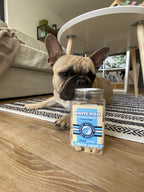 Bouledogue français couché derrière le pot de poisson blanc lyophilisé Kiwi Walker