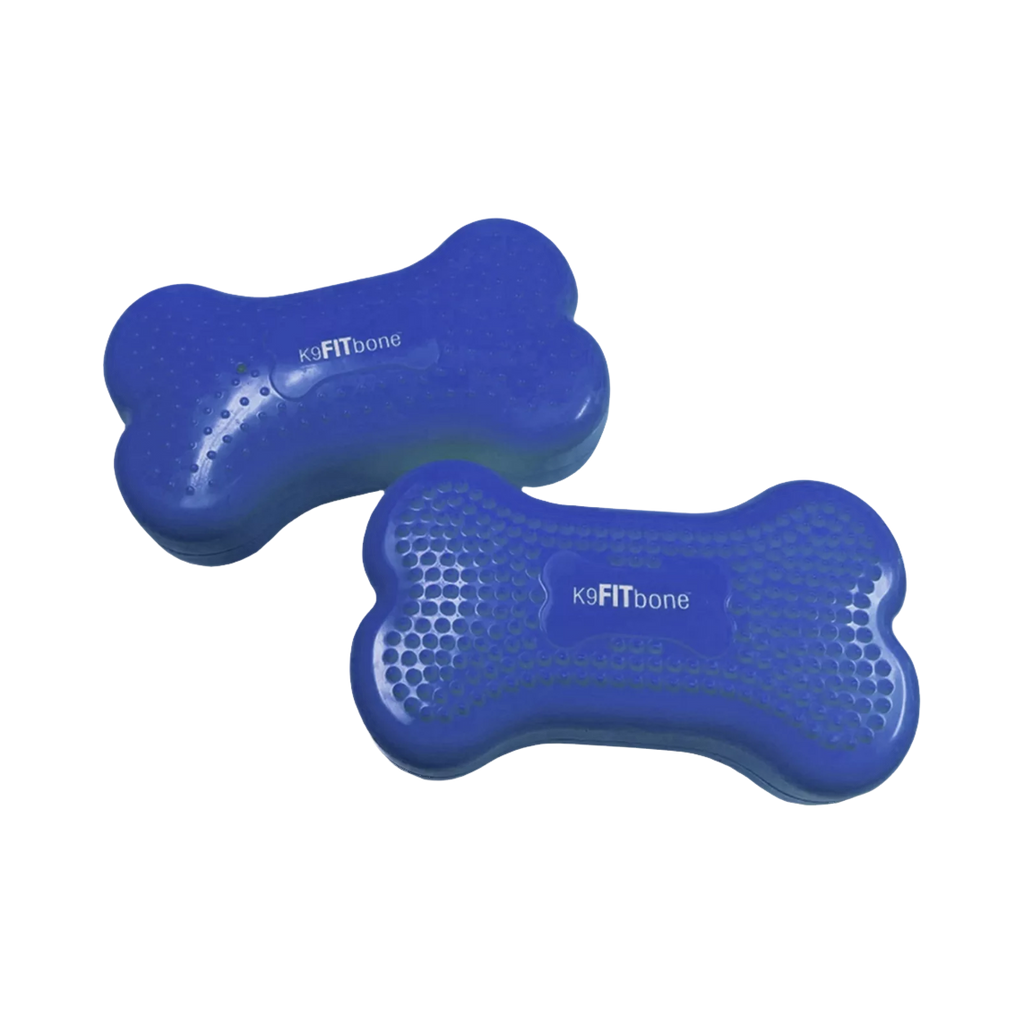 Deux petits os gonflables bleus
