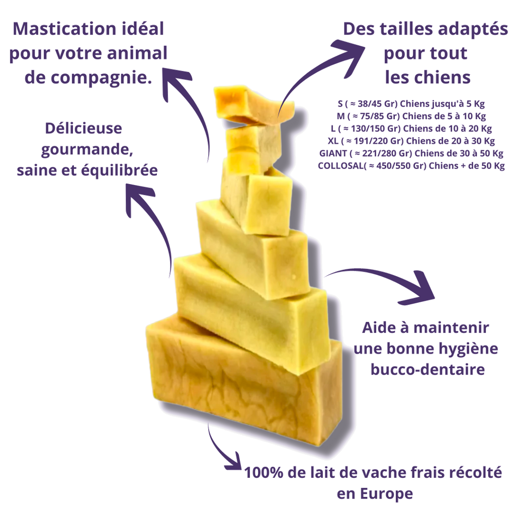 Fromage de yak avec ses bienfaits et le tableau des tailles selon le poids du chien