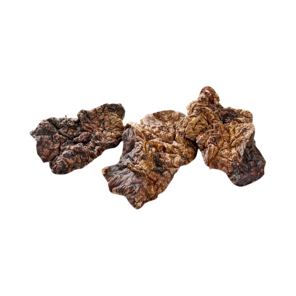 Morceaux de poumon d'agneau séché, légers et alvéolés