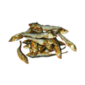 Tas de sprats entiers séchés aux écailles argentées