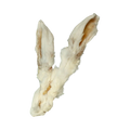 Deux oreilles de lapin séchées aux poils clairs
