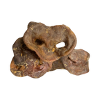 Nez de cochon séchés empilés