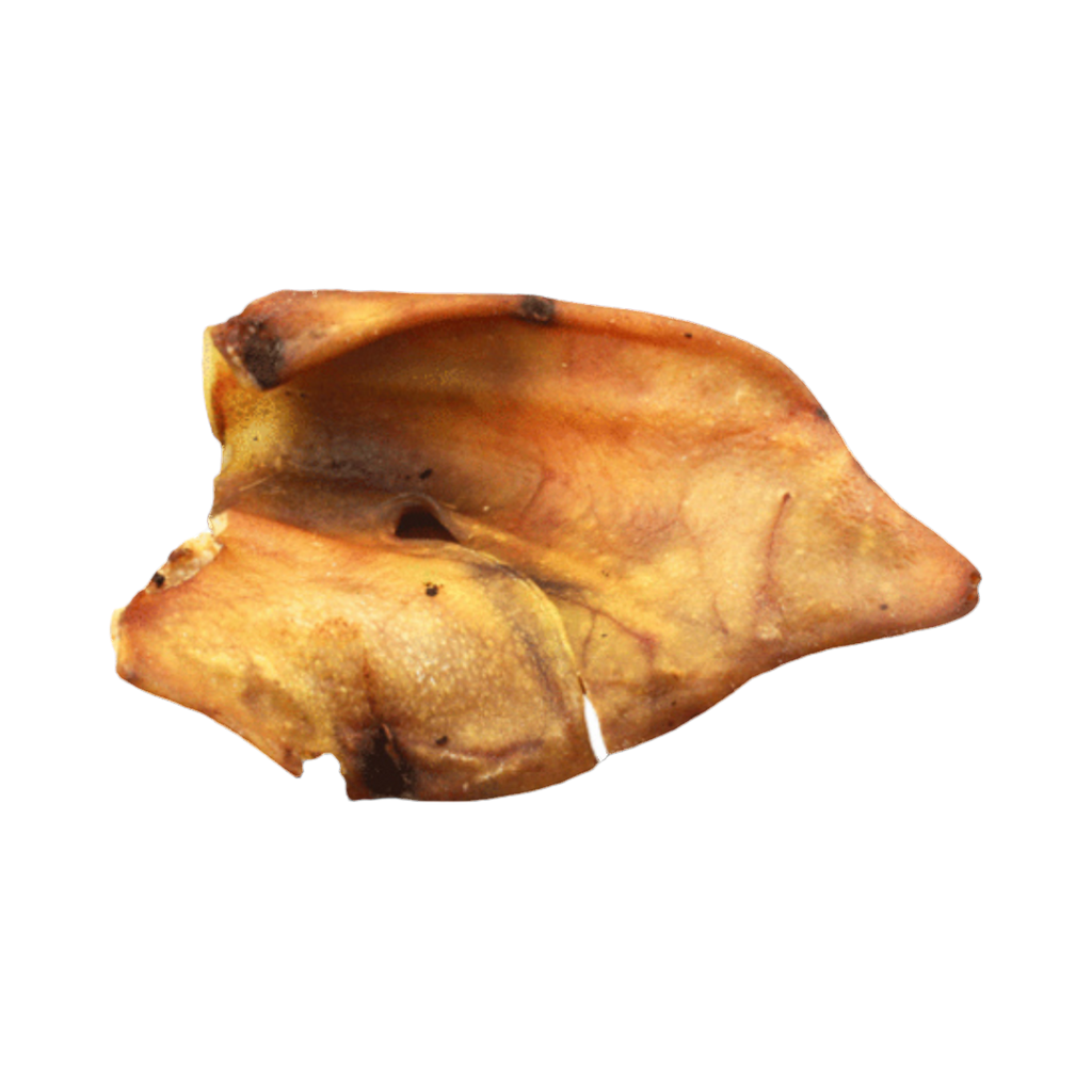 Oreille de porc séchée seule, face dorée