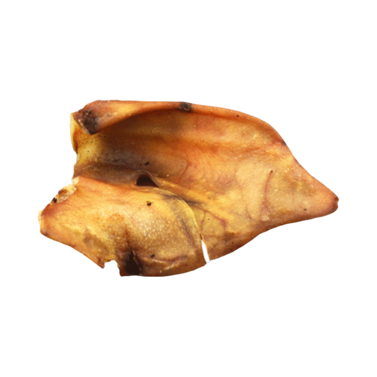 Oreille de porc séchée seule, face dorée
