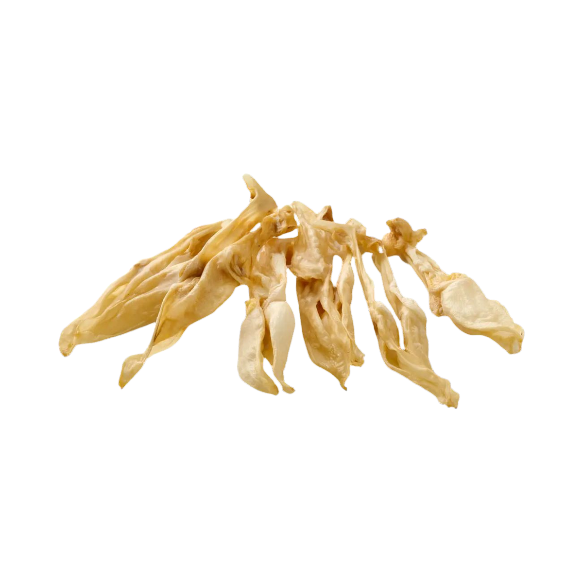 Oreilles de lapin séchées sans poils, claires, en éventail