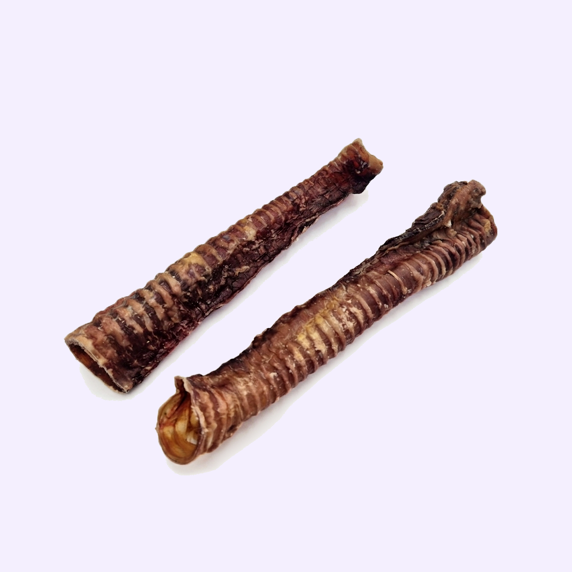 Trachée de buffle pour chien – mastication naturelle – 30 cm