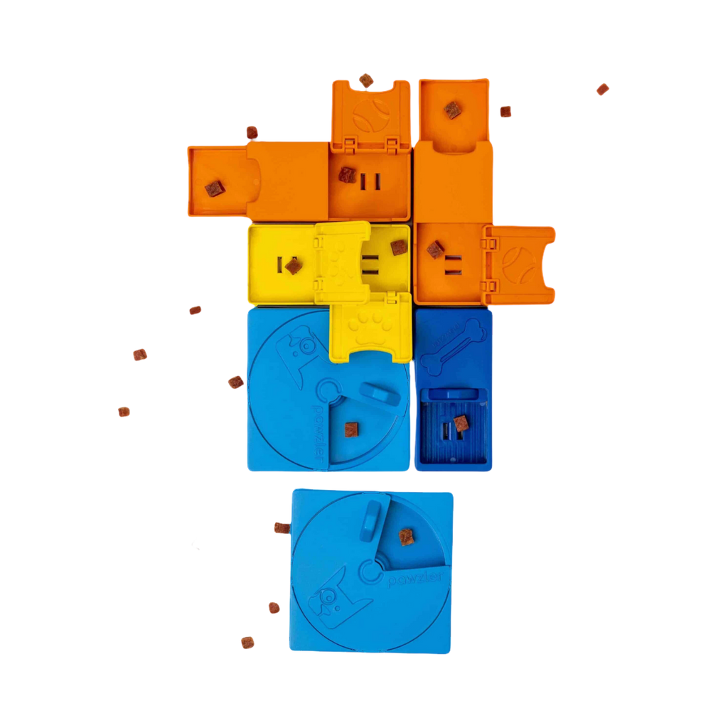 Pièces orange, jaunes et bleues assemblées avec croquettes éparpillées