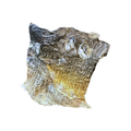 Peau de carpe séchée aux écailles dorées