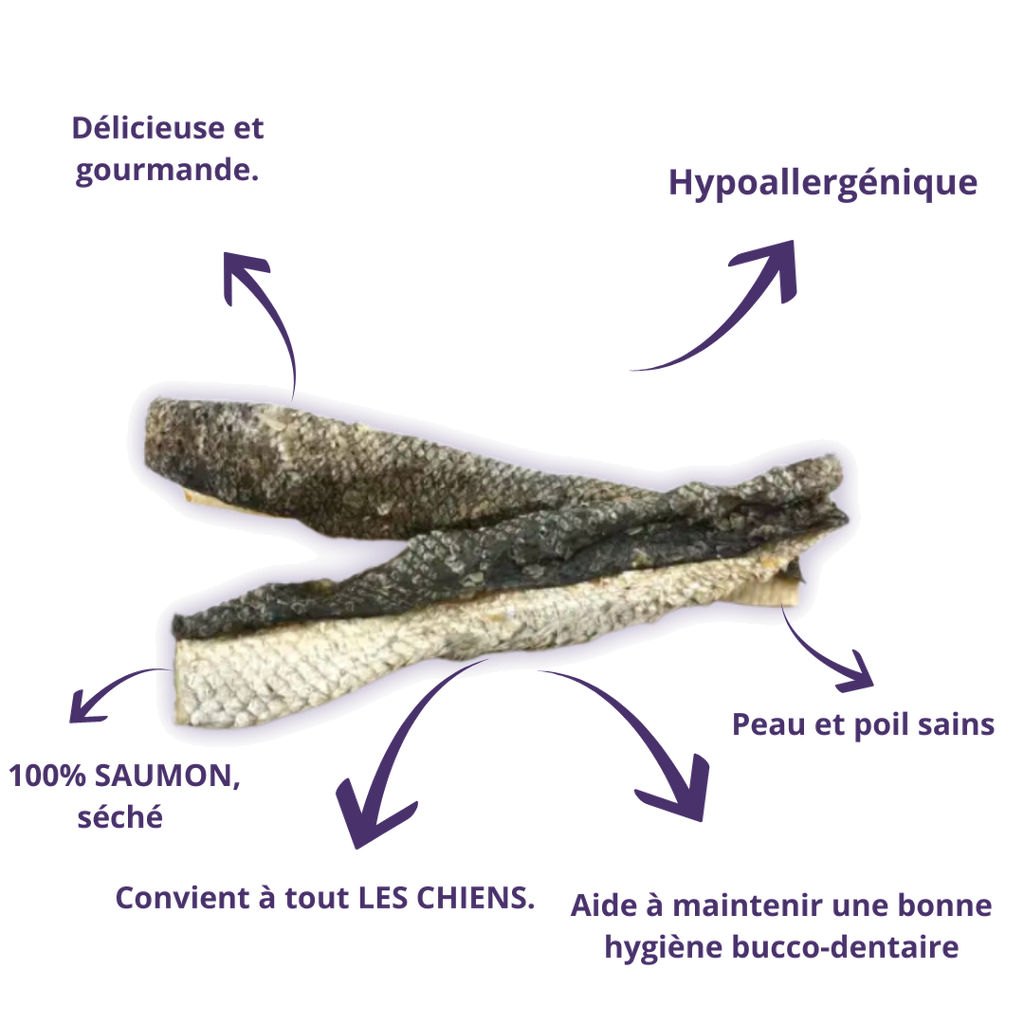 Peaux de saumon avec leurs bienfaits : hypoallergéniques, peau et poil sains, hygiène dentaire