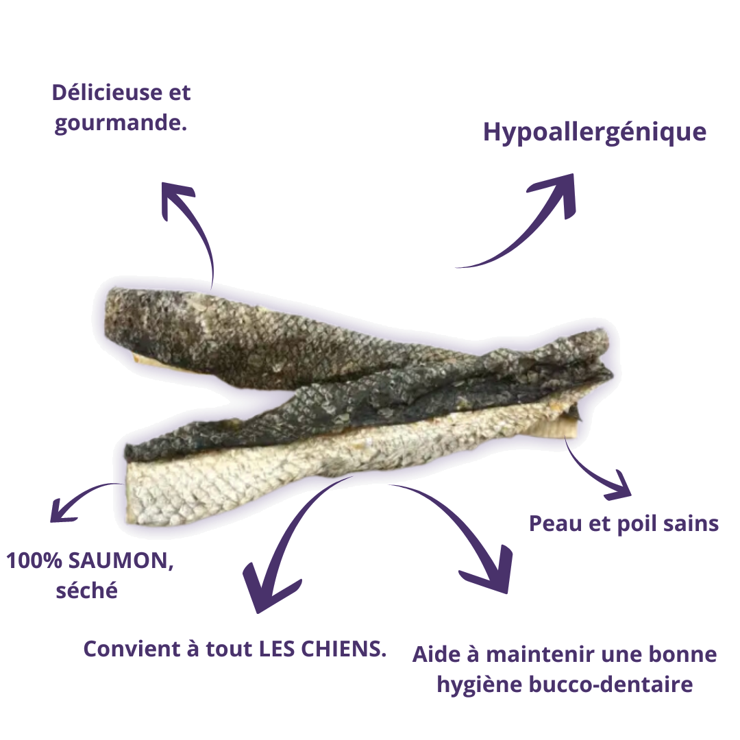 Peaux de saumon avec leurs bienfaits : hypoallergéniques, peau et poil sains, hygiène dentaire