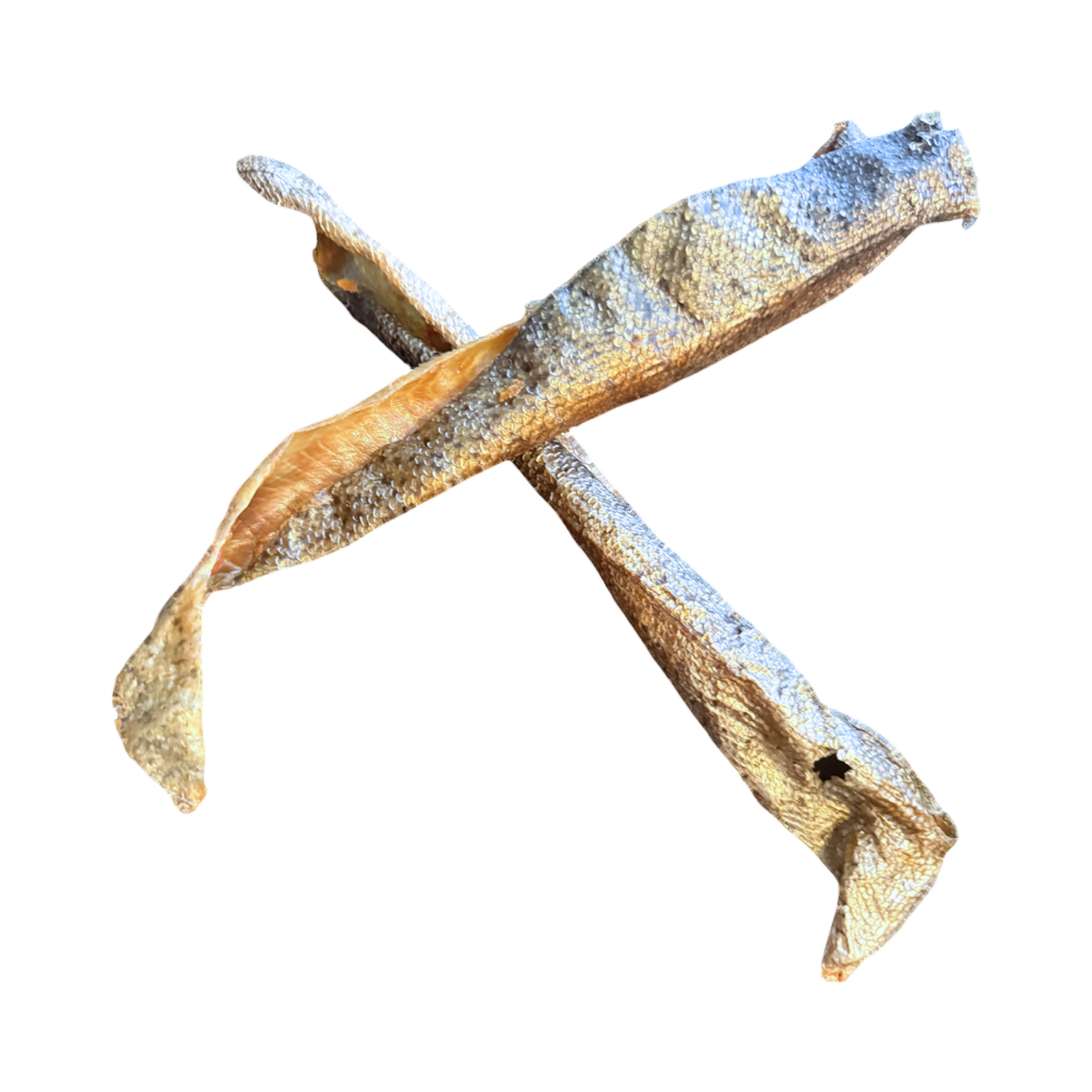 Deux peaux de truite séchées croisées