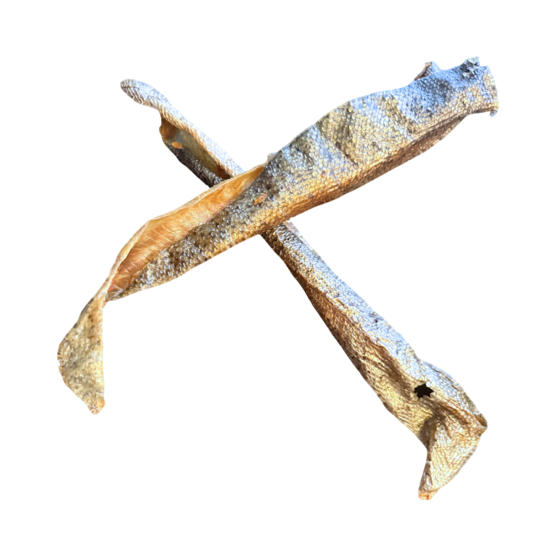 Deux peaux de truite séchées croisées