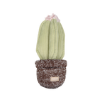 Cactus vert tendre dans un pot tricoté chiné marron
