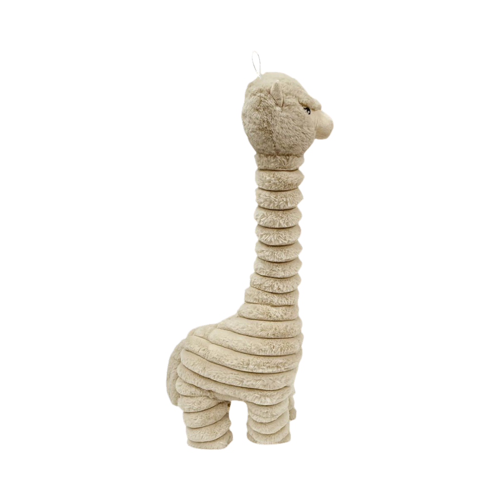 Lama beige de trois quarts, pelage bouclé sur la tête