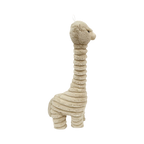 Lama beige de trois quarts, pelage bouclé sur la tête