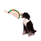 Chien noir et blanc assis mordant la grande galette garnie
