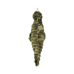 Dinosaure kaki vu de dessus avec étiquette cartonnée