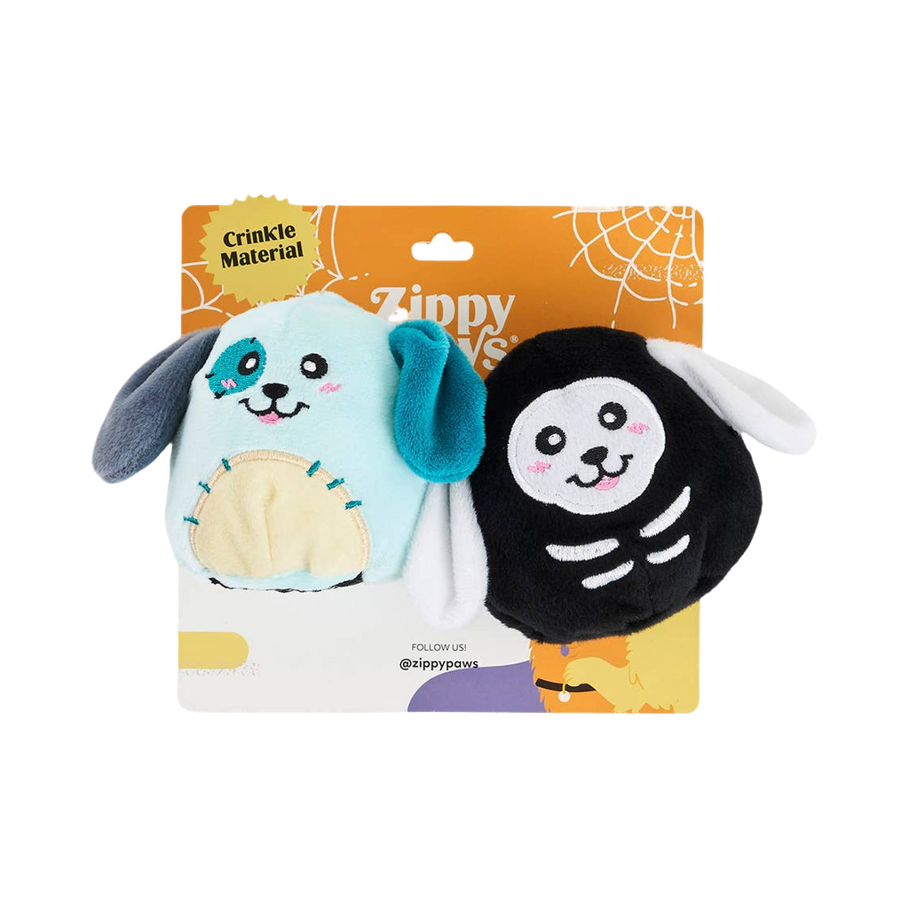 Deux chiots bleu clair et noir squelette sous carton orange