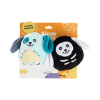 Deux chiots bleu clair et noir squelette sous carton orange