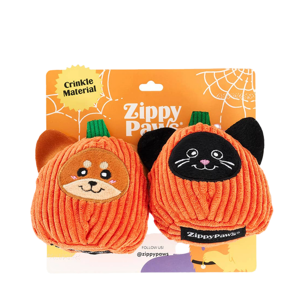 Courges chien et chat noir dans leur carton orange