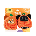Courges chien et chat noir dans leur carton orange