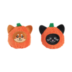 Courge à tête de shiba et courge chat noir de face