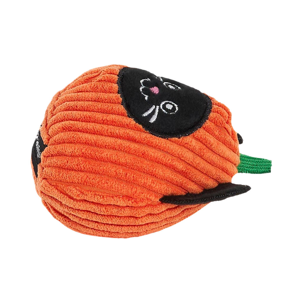 Courge orange côtelée couchée, visage de chat noir