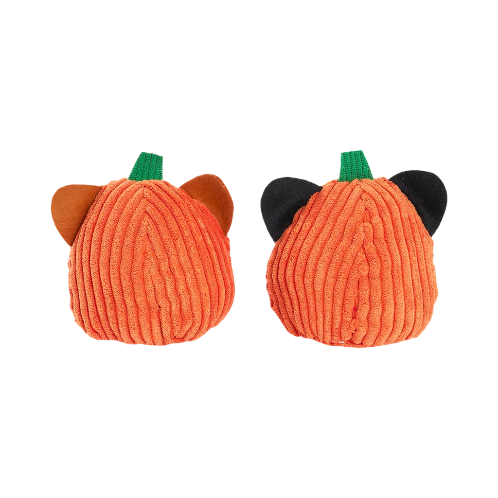 Dos des deux courges, oreilles rousses et noires