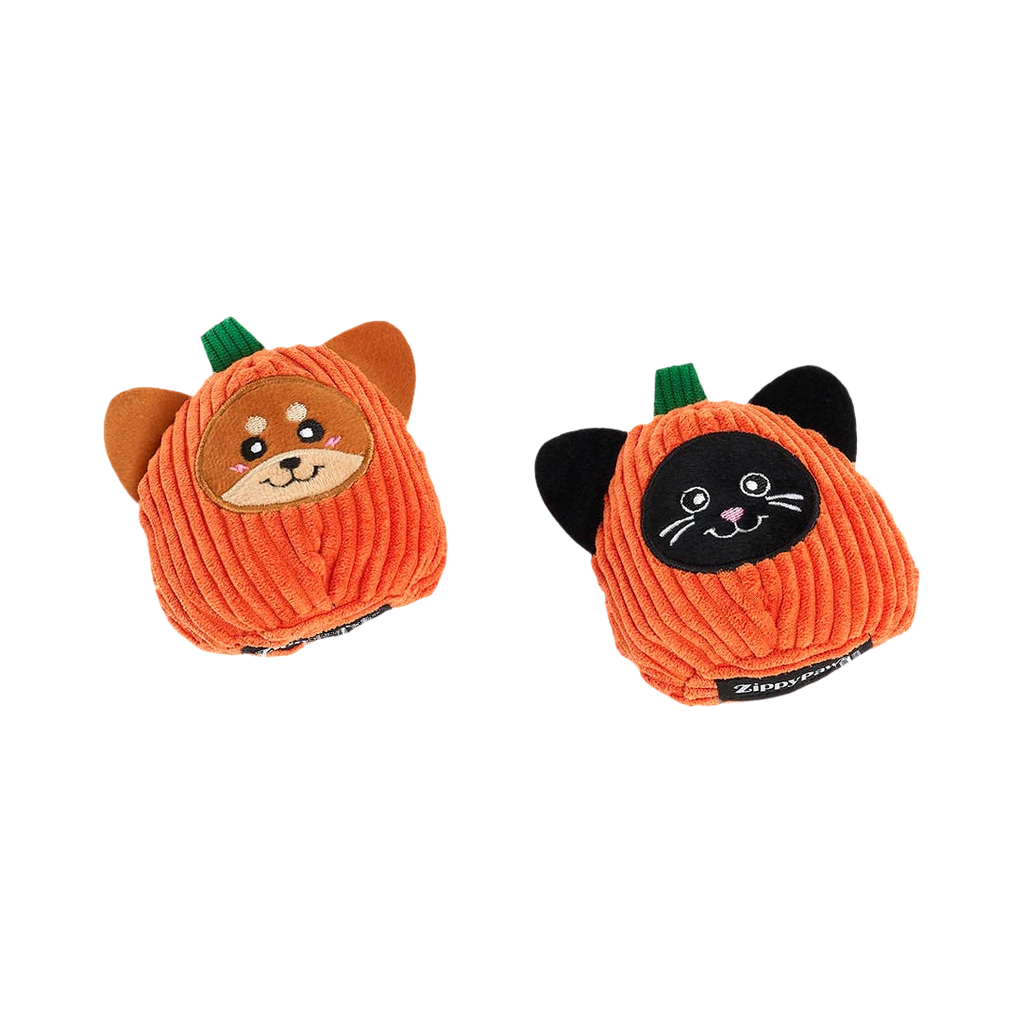 Courges shiba et chat noir vues de trois quarts