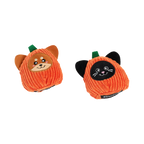 Courges shiba et chat noir vues de trois quarts