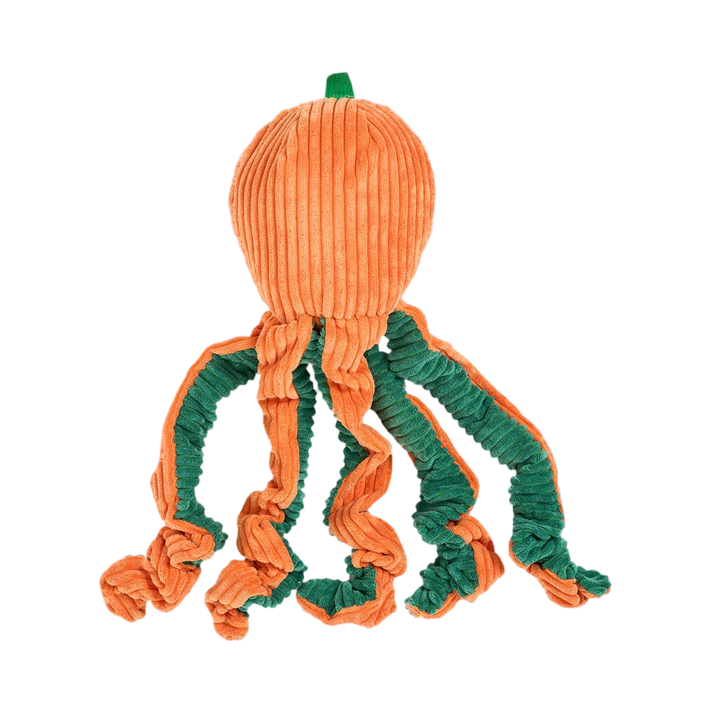Pieuvre orange vue de dos, tentacules bouclés
