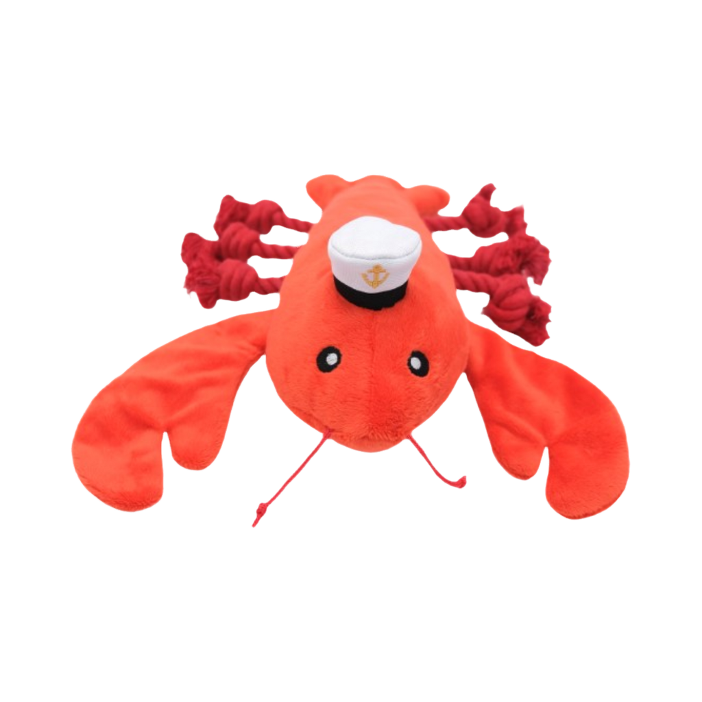 Homard rouge vu de face, casquette de marin et antennes en corde