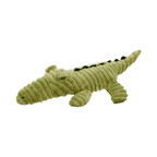 Crocodile vert côtelé à crête sombre sur le dos