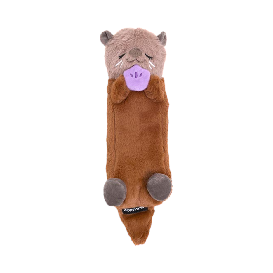 Loutre brune endormie serrant un coquillage violet