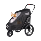 Corgi assis dans la nacelle noire à trois roues