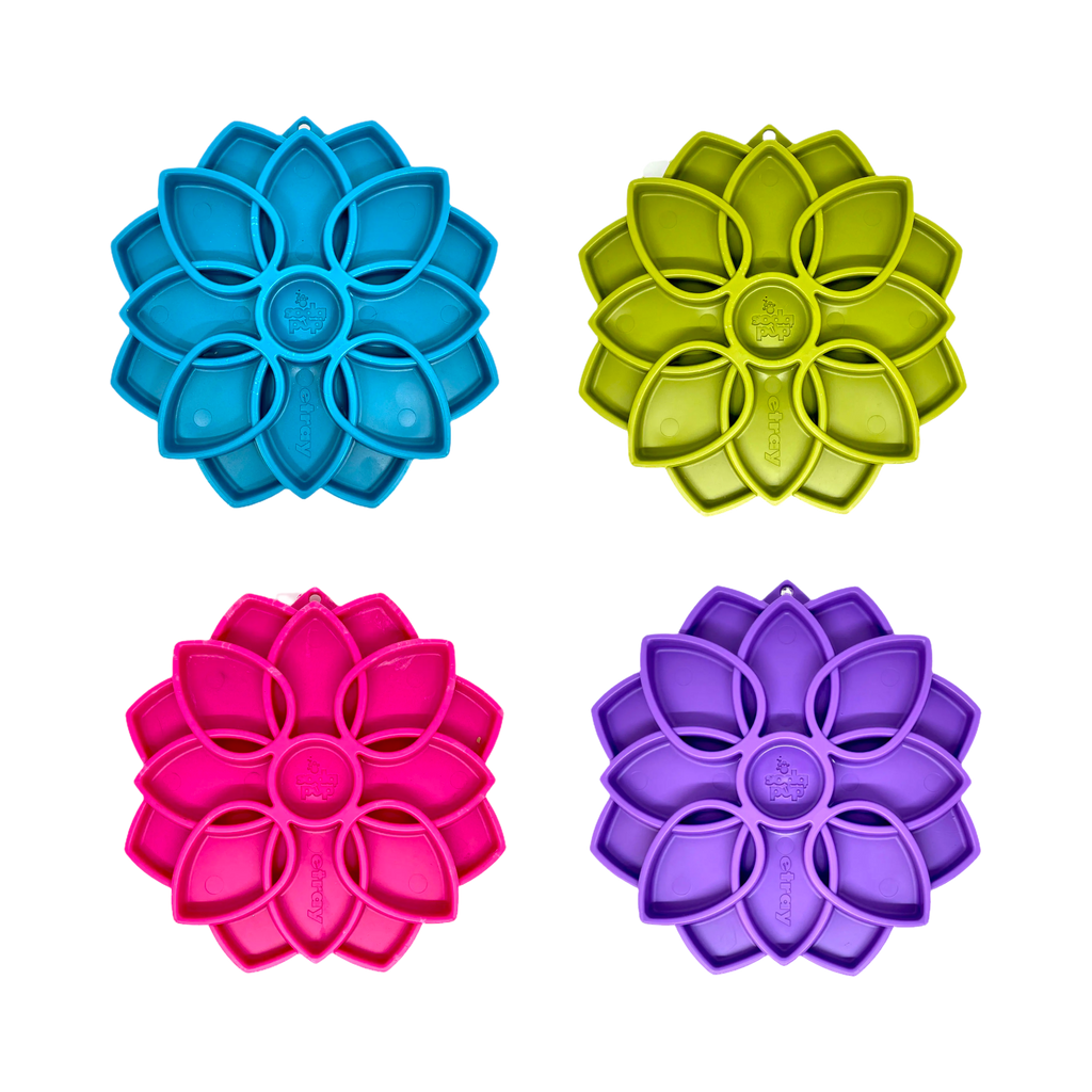 Quatre fleurs mandala bleue, verte, rose et violette