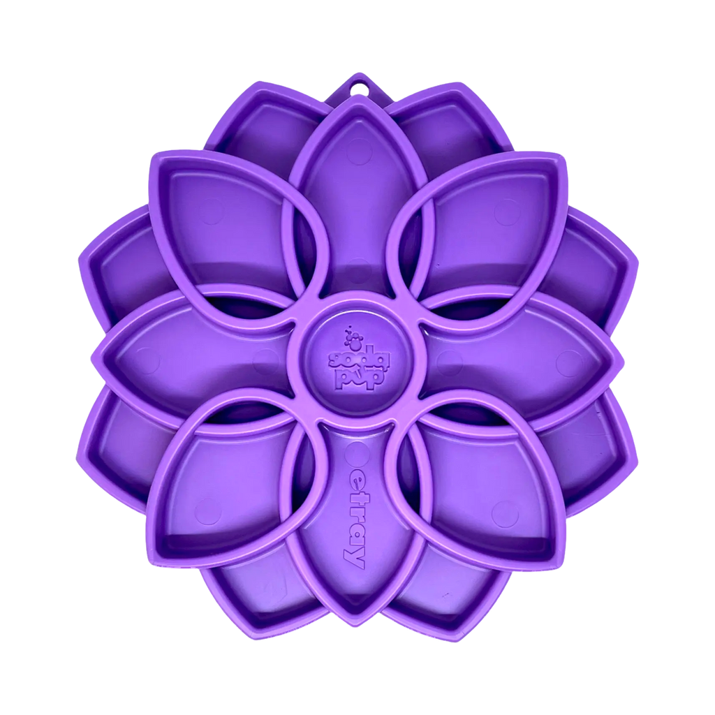 Fleur violette à pétales creux vue de dessus