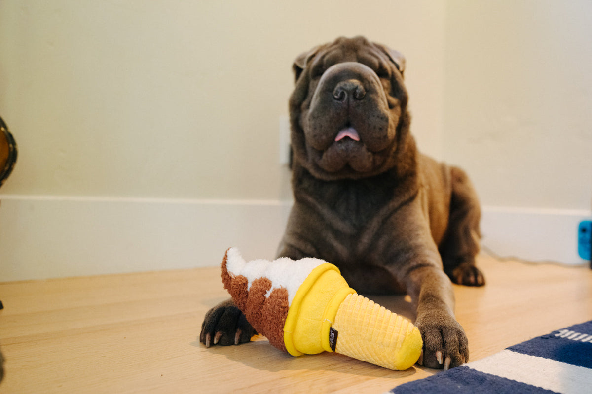 Shar-pei couché avec la peluche crème glacée Pet Play