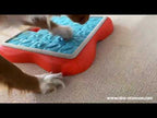 Jeu d'intelligence pour chien Challenge Slider – Nina Ottosson – niveau 3