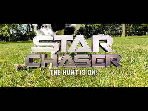 Leurre motorisé pour chien Star Chaser – Dog Comets