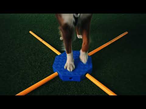 Système d'entraînement pour chien FitKinect Core – FitPAWS