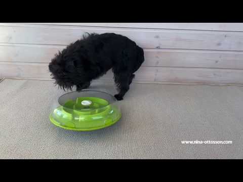 Jeu d'intelligence pour chien & chat Wobble Bowl – Nina Ottosson – niveau 1