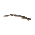 Roussette entière séchée, petit requin fin