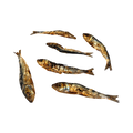 Six sardines entières séchées éparpillées