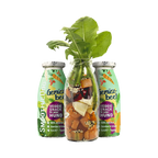 Bocal de légumes entre deux bouteilles Gemüsebeet végétariennes