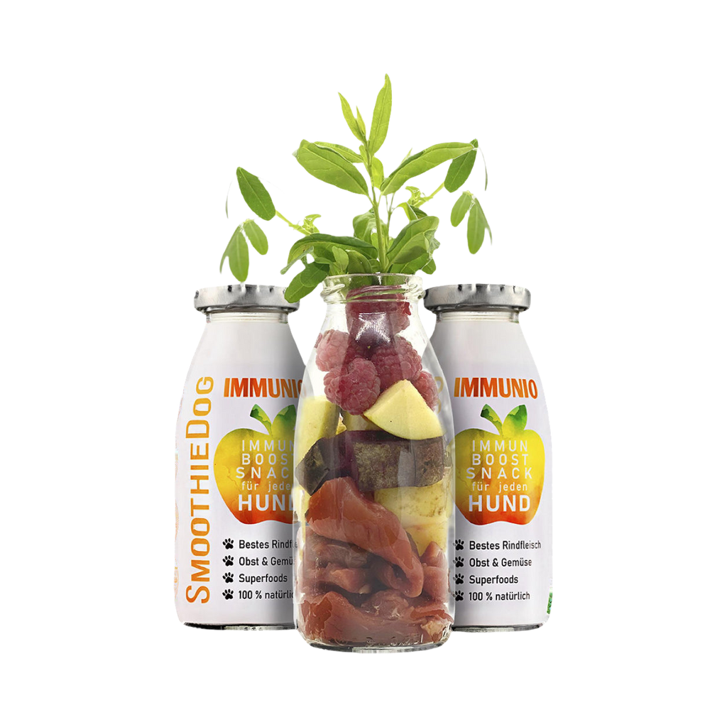 Bocal de fruits et viande entre deux bouteilles Immunboost
